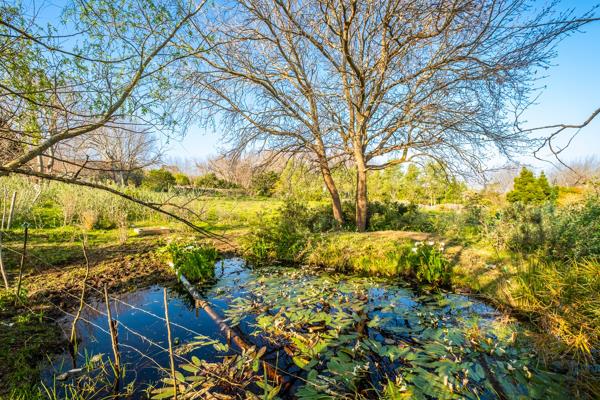 3 730 m² Land