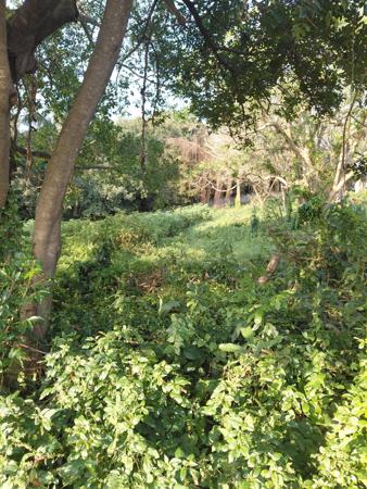4 047 m² Land