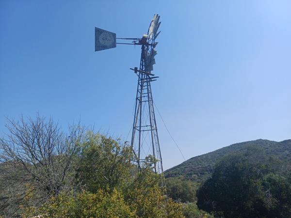 158 ha Farm
