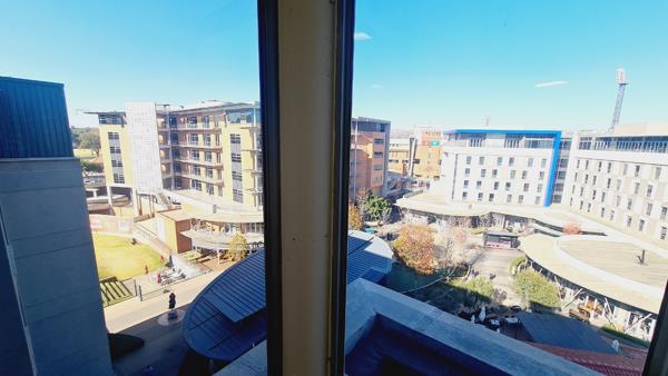 220 m² Office Space