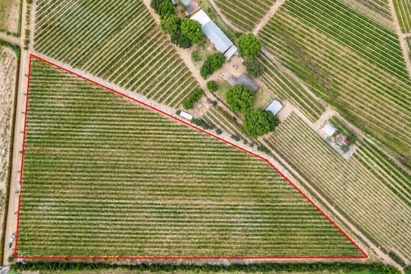 2.8 ha Land