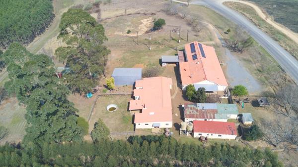 2 ha Smallholding