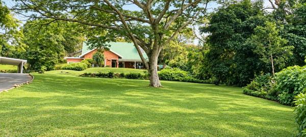 911 m² Land