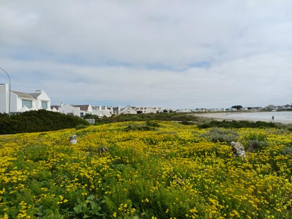 603 m² Land