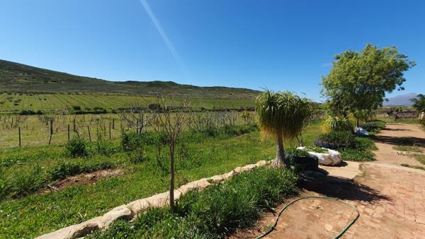 22 ha Farm