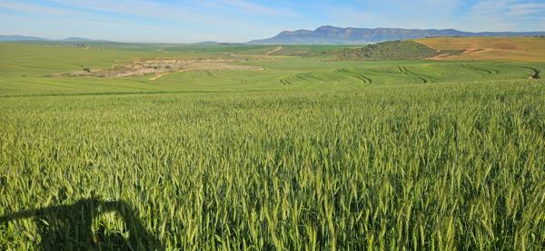 810 ha Farm