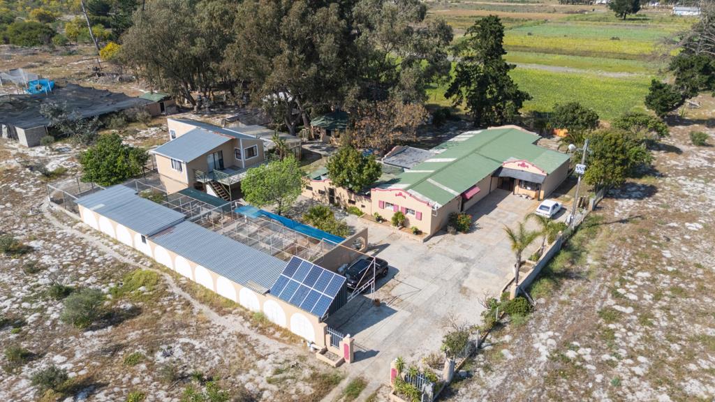 17.1 ha Smallholding