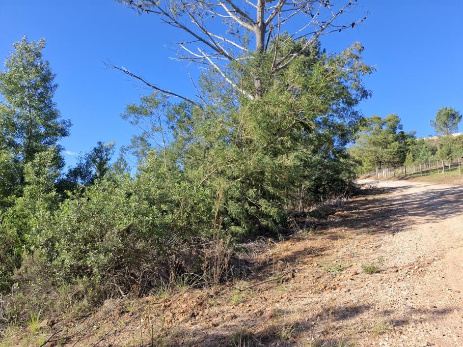 1 119 m² Land