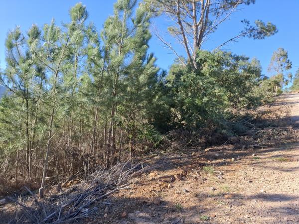 1 119 m² Land