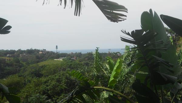 1 355 m² Land