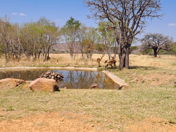 7 390 m² Land