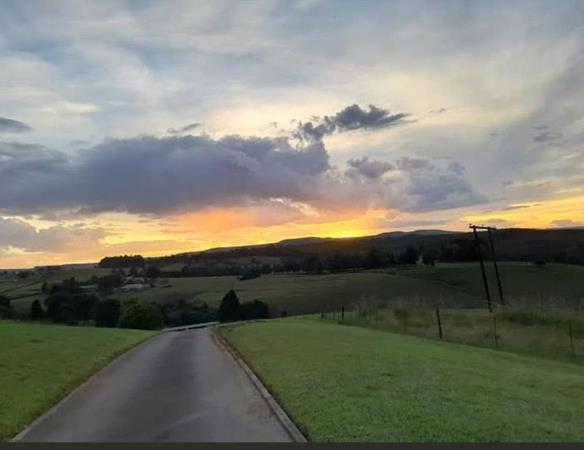 16.3 ha Smallholding