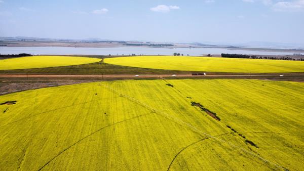 459 ha Farm
