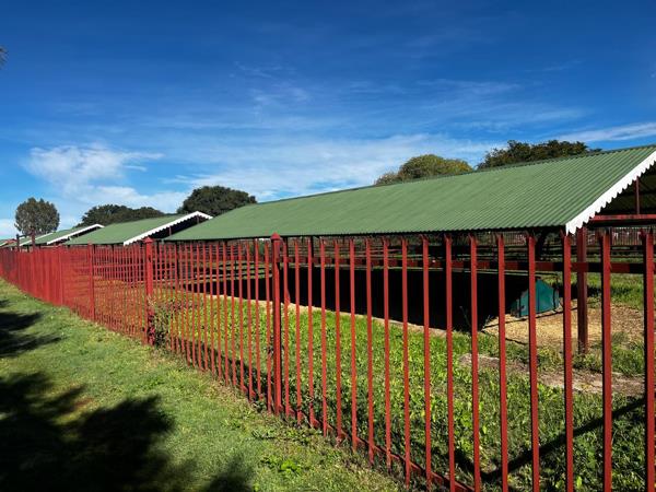 3.3 ha Smallholding
