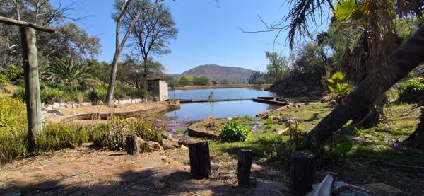 139 ha Farm