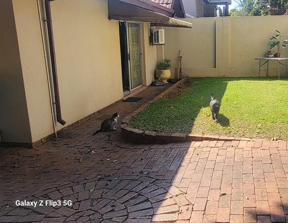 1 Bedroom Simplex
