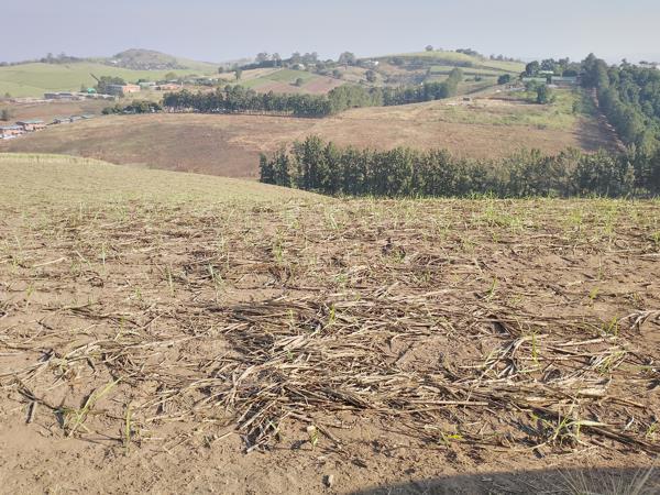 5.9 ha Farm