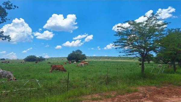 442 ha Farm