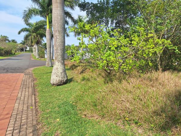 994 m² Land