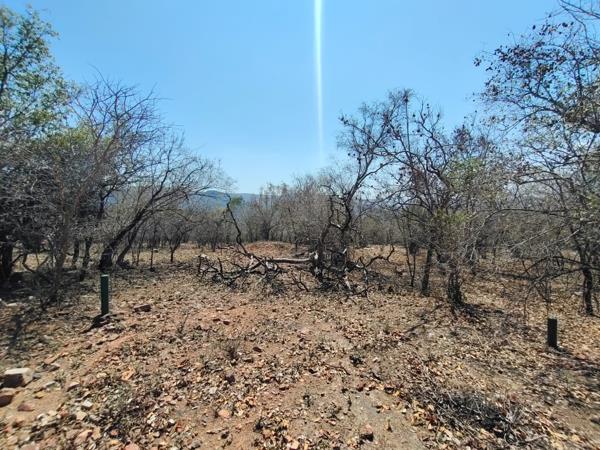 4 738 m² Land