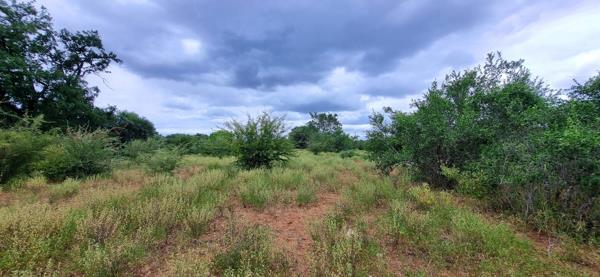 2 400 m² Land