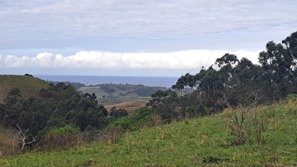 24 ha Farm