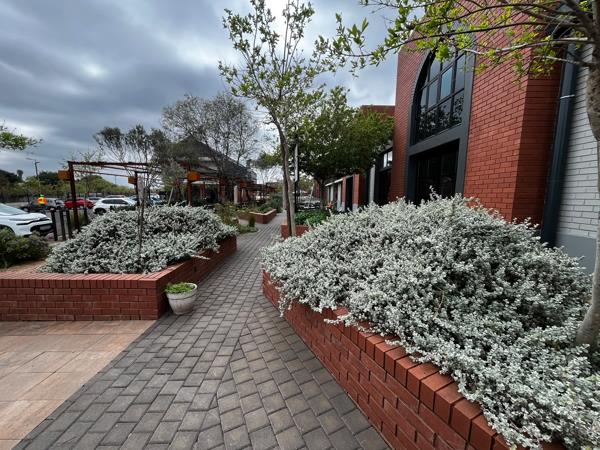 48 m² Commercial space