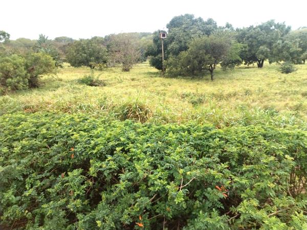 6 597 m² Land
