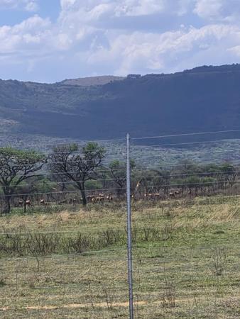 Game Farm