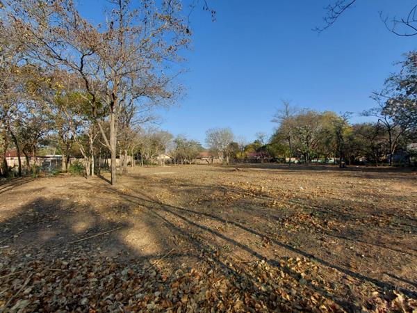 2 974 m² Land
