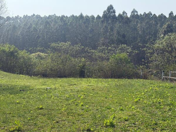 1.5 ha Land