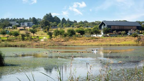 800 m² Land