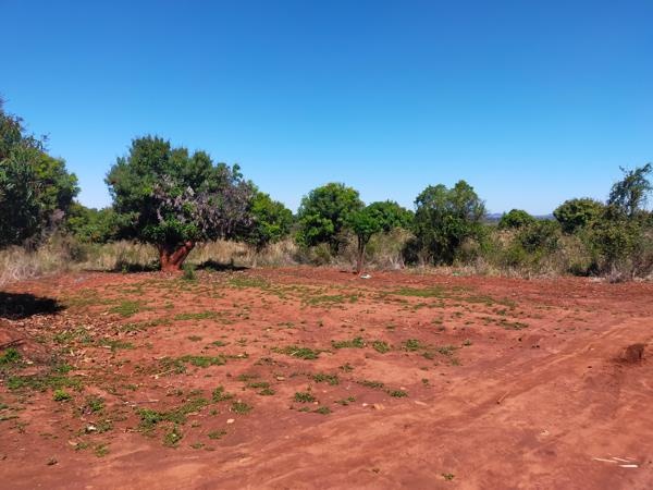 4 ha Commercial Farm