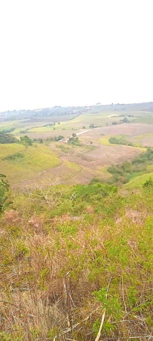24.4 ha Farm