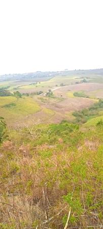 24.4 ha Farm