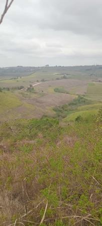 24.4 ha Farm
