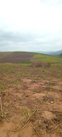 24.4 ha Farm