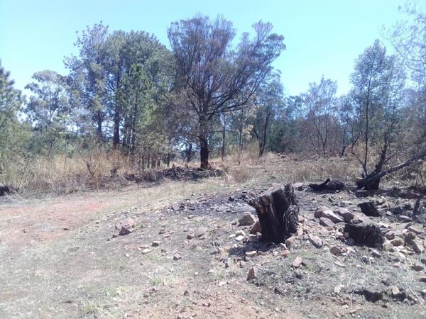 952 m² Land