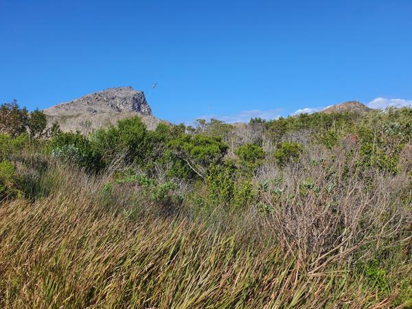 1 059 m² Land