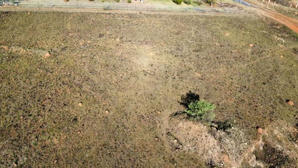 1 ha Land