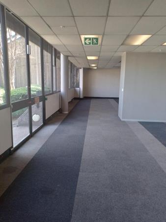 787 m² Commercial space