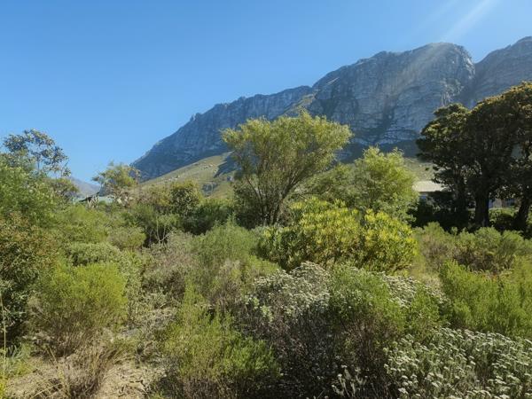 1 081 m² Land