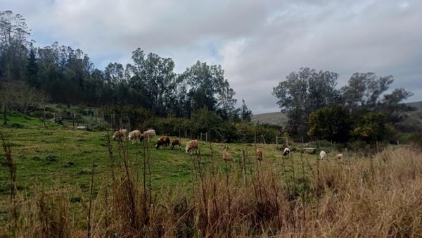 24 ha Farm