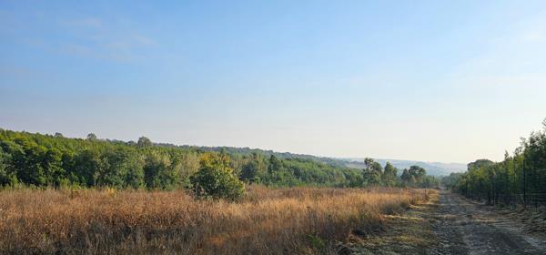 12 ha Farm