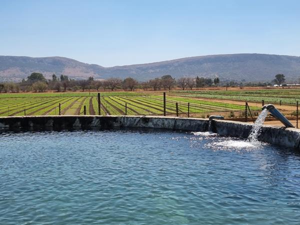 19.8 ha Farm