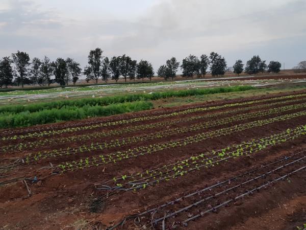 8.9 ha Farm