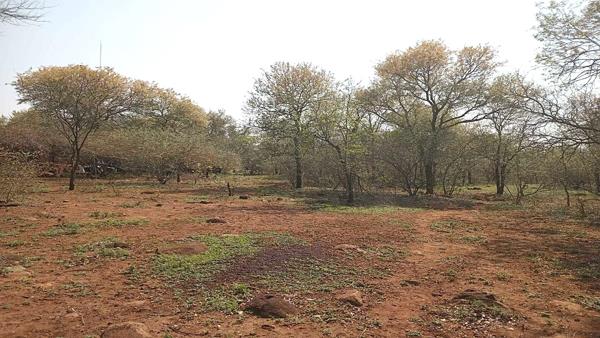 3 201 m² Land