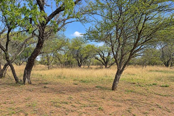 1.4 ha Land