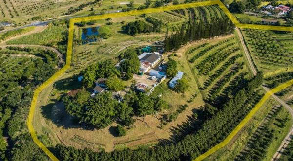 6.5 ha Agricultural Holding