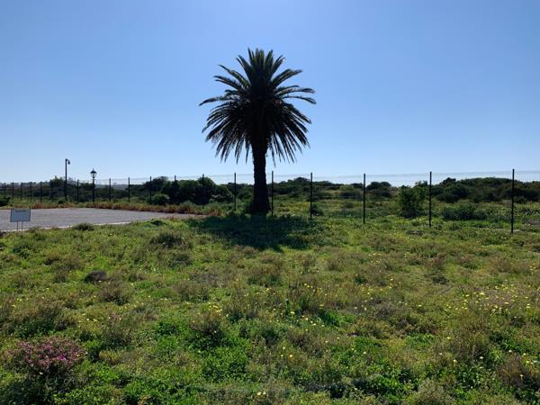 291 m² Land